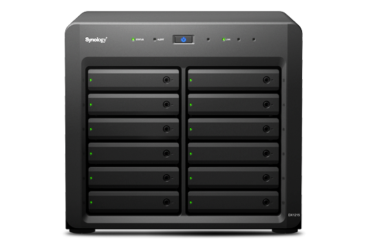 Synology DX1215